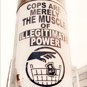 Meet your Posher, Cheyenne